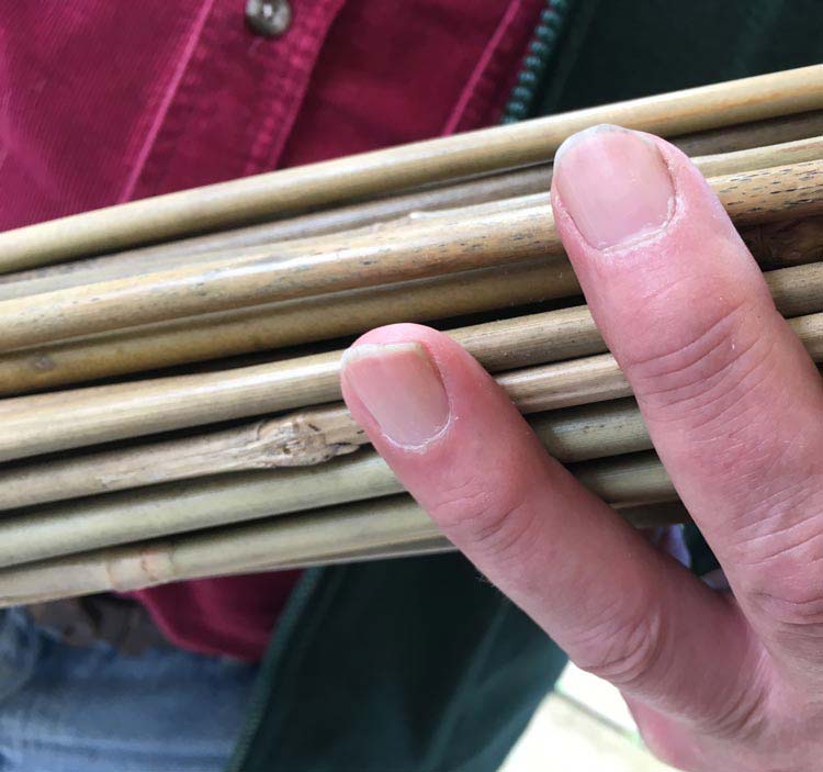 4ft Bamboo Canes