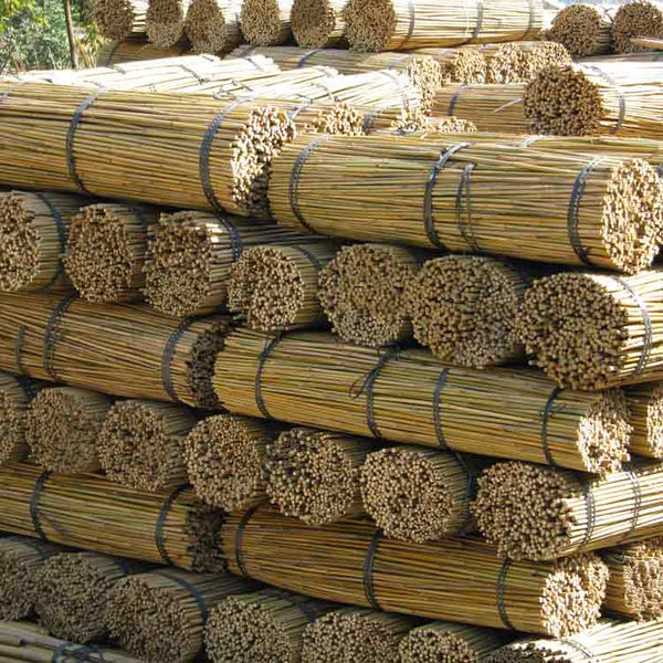 6ft Bamboo Canes