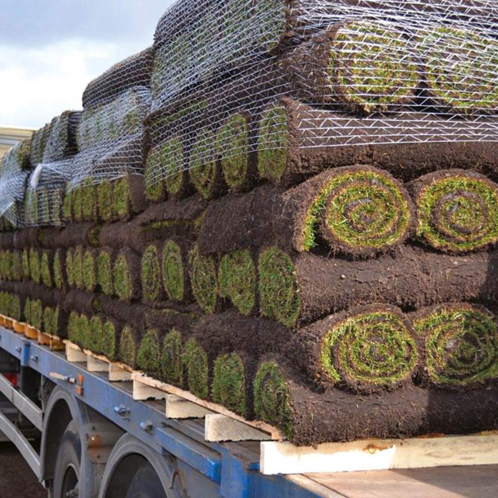 Premium Lawn Grass Turf
