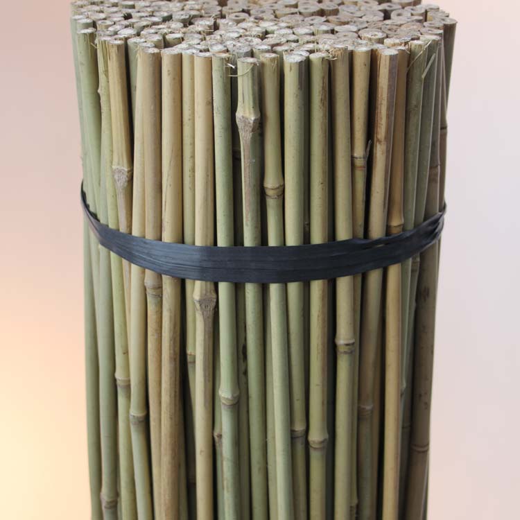 5ft Bamboo Canes Packs of 50