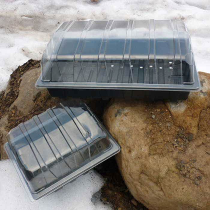 Propagator LIDS Full Tray Pack of 10