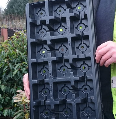 Carry Tray - 9cm Round / Square Pots