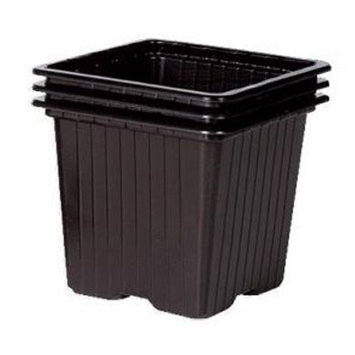 7cm Square Black Plastic Plant Pots Packs of 50