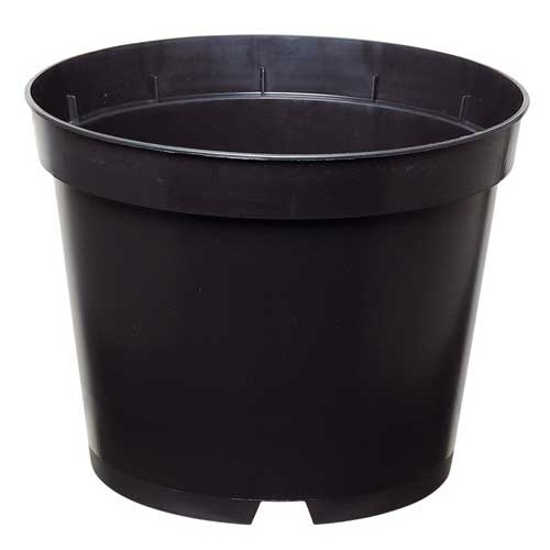 5 Litre Round Plastic Plant Pots | ScotPlants Direct